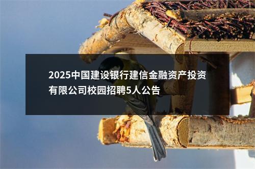 2025中国建设银行建信金融资产投资有限公司校园招聘5人公告                进入阅读模式 图片