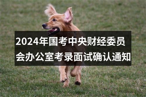 2024年国考中央财经委员会办公室考录面试确认通知 图片