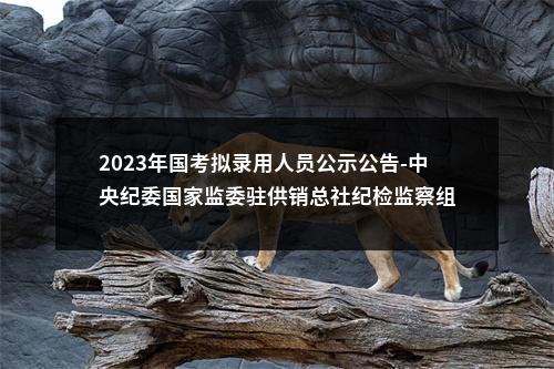 2023年国考拟录用人员公示公告-中央纪委国家监委驻供销总社纪检监察组 图片