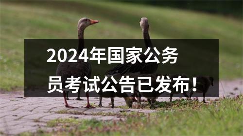 2024年国家公务员考试公告已发布！ 图片