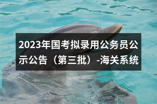 2023年国考拟录用公务员公示公告（第三批）-海关系统 图片