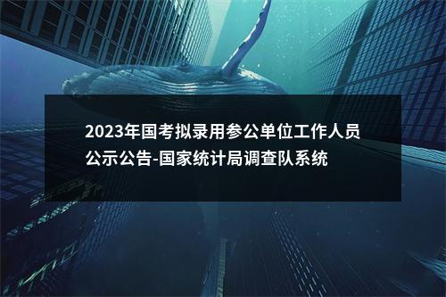 2023年国考拟录用参公单位工作人员公示公告-国家统计局调查队系统 图片