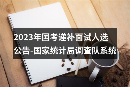 2023年国考递补面试人选公告-国家统计局调查队系统 图片