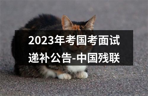 2023年考国考面试递补公告-中国残联 图片