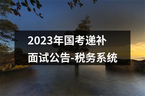 2023年国考递补面试公告-税务系统 图片
