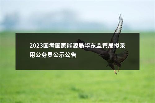 2023国考国家能源局华东监管局拟录用公务员公示公告                进入阅读模式 图片