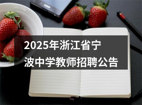 2025年浙江省宁波中学教师招聘公告 图片