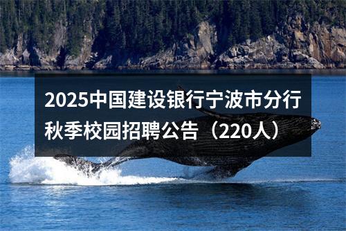 2025中国建设银行宁波市分行秋季校园招聘公告（220人） 图片