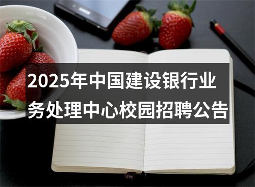 2025年中国建设银行业务处理中心校园招聘公告 图片
