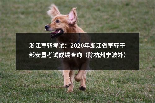 浙江军转考试：2020年浙江省军转干部安置考试成绩查询（除杭州宁波外） 图片