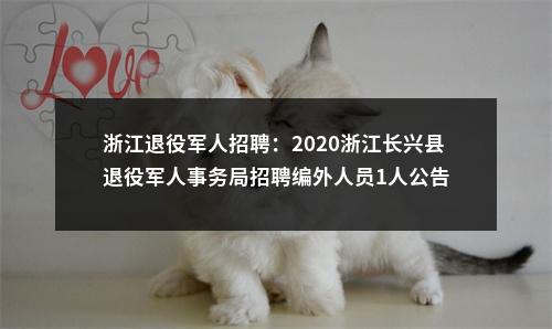 浙江退役军人招聘：2020浙江长兴县退役军人事务局招聘编外人员1人公告 图片